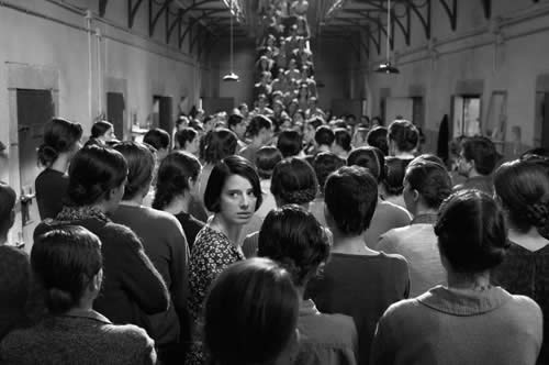 LAS 13 ROSAS Adriano Castoro