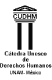C&aacute;tedra Unesco de Derechos Humanos
